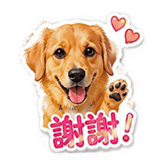 嘎逼狗&孫家人
