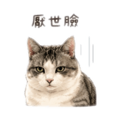 Money超可愛