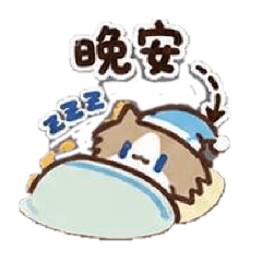 柴猫犬