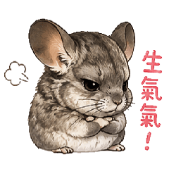 龍貓 妹妹
