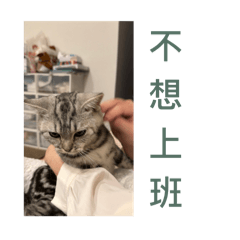 木木日常話2