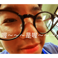80537喜豬豬