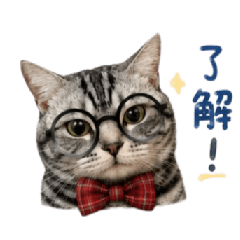 霸王Rudy來啦！2.0