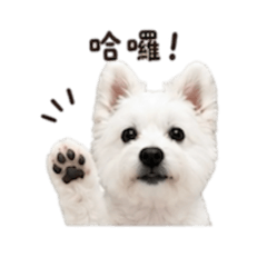 拉拉弟