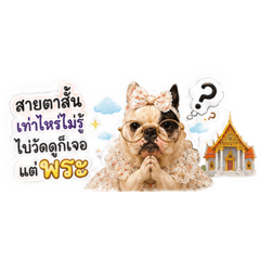 Aepu_20260703115345