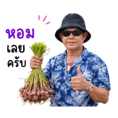 Kamol Jandara_20260703115723