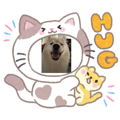 Qooii_20260703123219