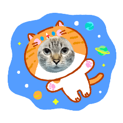 kittheta_20260703150829
