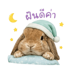 Kat_20260703151445