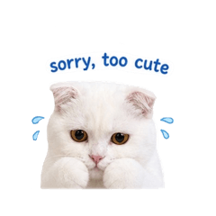 casper the catttt