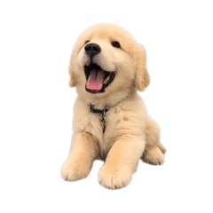 Markk_20260703171635