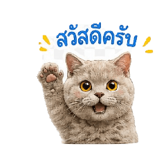 Fu Fu_20260703164907