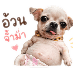 Aoh_20260703183236
