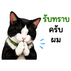 Bossjakkaphan_20260703190313