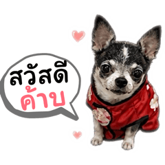 My little boo-boo_20260703194221