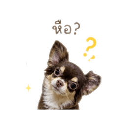 Rut_20260703213007