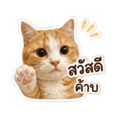 Natsareeda_20260504122045