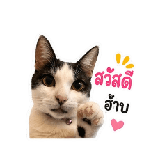 sabai_20260504122438