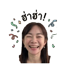 nipapen techo_20260504122642