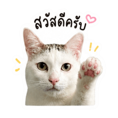 Mindncx_20260504122544
