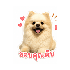 MooKATI_20260504125647