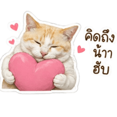 Coconut's mom_20260504130608