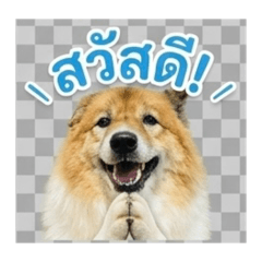 RAYYA_20260504131802