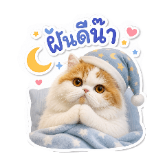 Aunpung meow_20260504132057