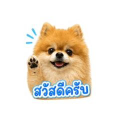 Chutikan BeeBee_20260504132233