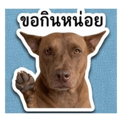 RAYYA_20260504132900