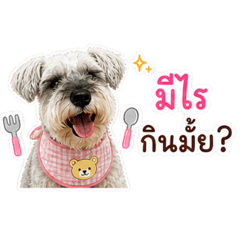 Viva the Schnauzer: Daily mood stickers