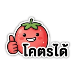 RAMON_20260504133228
