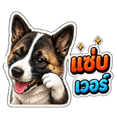 Max vol.1
