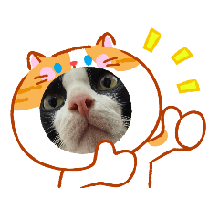 Thong Ngern The Cat 2