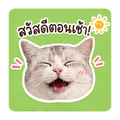 RwyMakLeyy1465_20260504134651