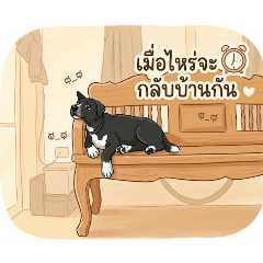 Moo Auan_20260504135246