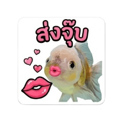 Tongdookdik