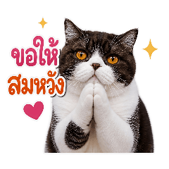 Labubu_20260504140346