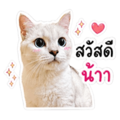 Nampow ssnp_20260504143630
