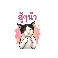 ratchanok_20260503104158