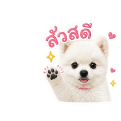 Hachipom