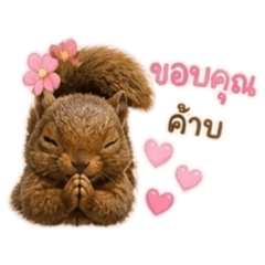 koydaenpen_20260504145154