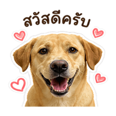 Doggy emotions Ver.Thai