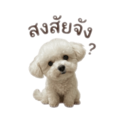 Mommam1322_20260504150212
