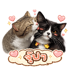 nongnaeeiei_20260504151825
