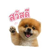 Yonging_20260504151851