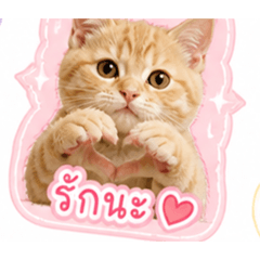 Nampai_20260504153116