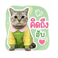 Natdanai_20260504155915
