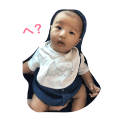 sotapooh