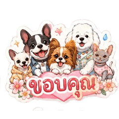 Dogwalker Thailand_20260504160404